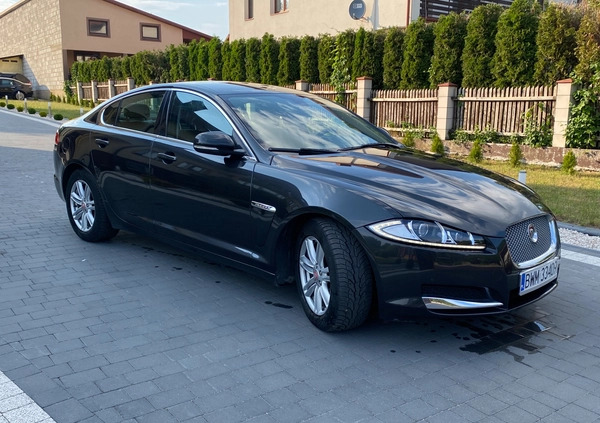 Jaguar XF cena 49900 przebieg: 180000, rok produkcji 2015 z Ciechanowiec małe 137